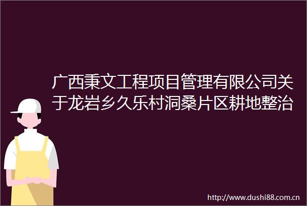 广西秉文工程项目管理有限公司关于龙岩乡久乐村洞桑片区耕地整治灌溉项目的竞争性磋商公告