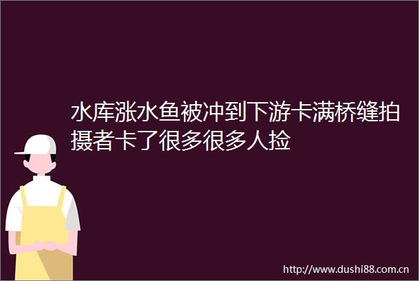 水库涨水鱼被冲到下游卡满桥缝拍摄者卡了很多很多人捡