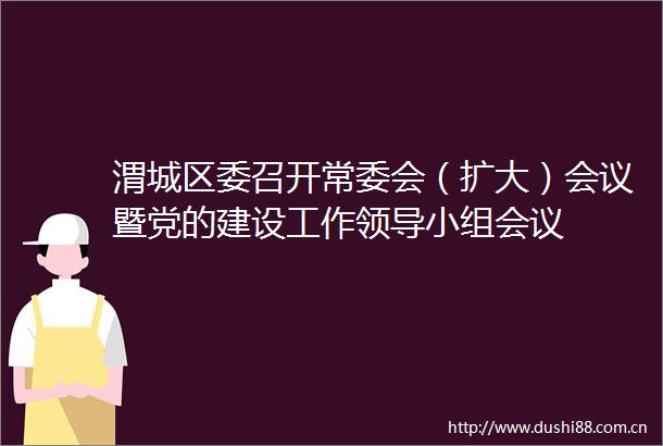 渭城区委召开常委会（扩大）会议暨党的建设工作小组会议
