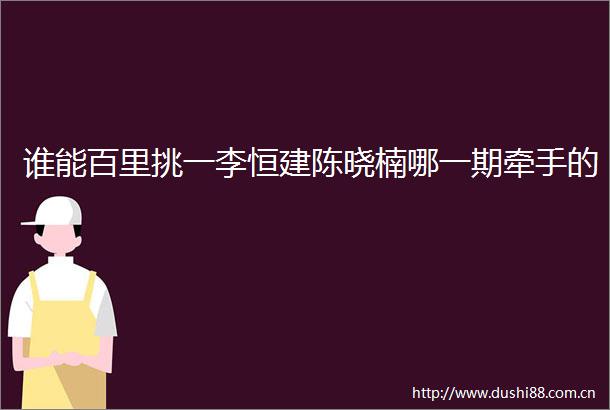 谁能百里挑一李恒建陈晓楠哪一期牵手的