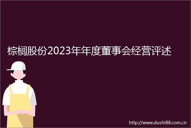 棕榈股份2023年年度董事会经营评述