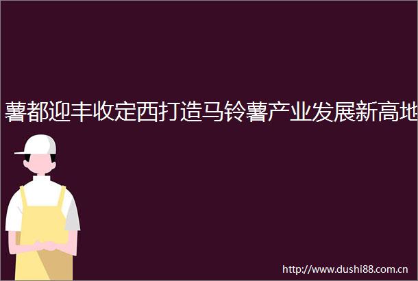 薯都迎丰收定西打造马铃薯产业发展新高地