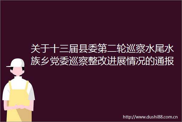 关于十三届县委第二轮巡察水尾水族乡党委巡察整改进展情况的通报