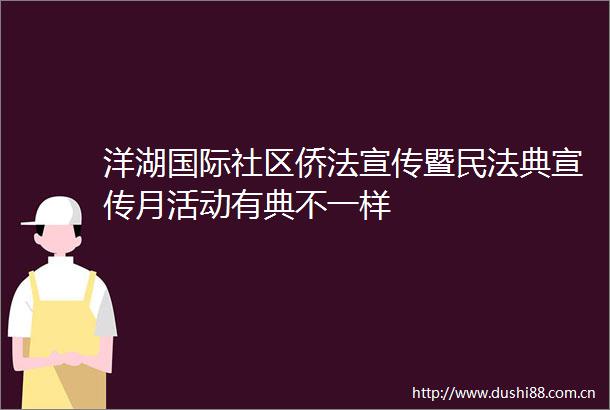 洋湖国际社区侨法宣传暨民法典宣传月活动有典不一样