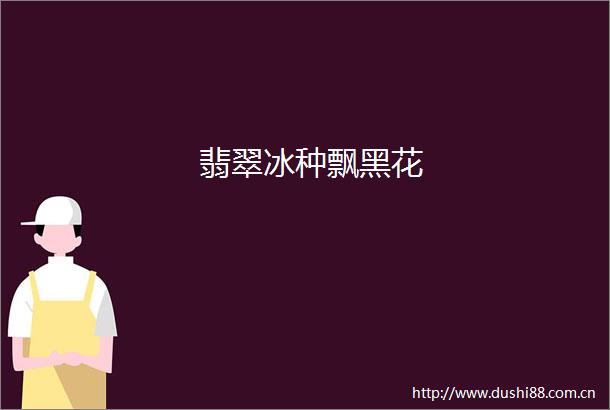 翡翠冰种飘黑花