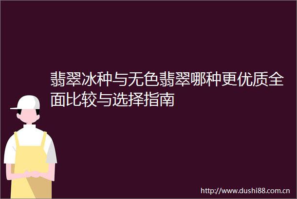 翡翠冰种与无色翡翠哪种更优质全面比较与选择指南