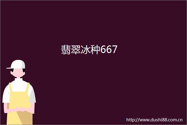 翡翠冰种667