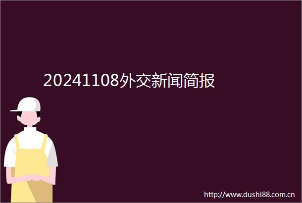 20241108外交新闻简报
