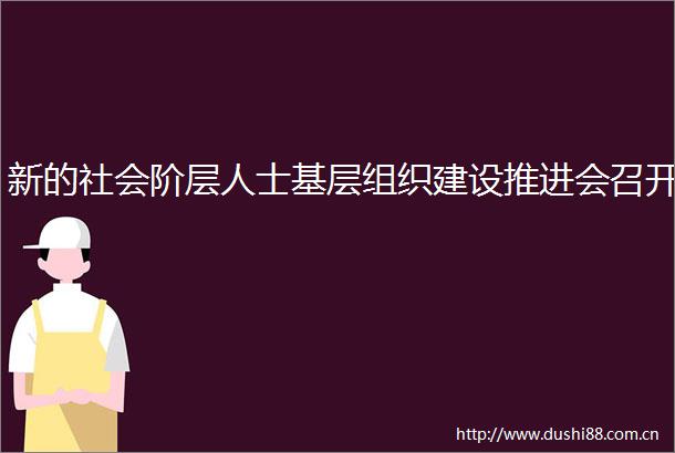 新的社会阶层人士基层组织建设推进会召开