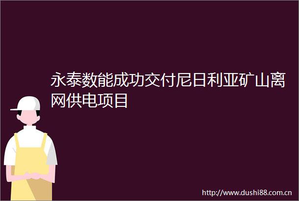 永泰数能成功交付尼日利亚矿山离网供电项目