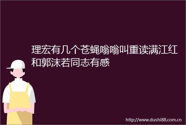 理宏有几个苍蝇嗡嗡叫重读满江红和郭沫若同志有感