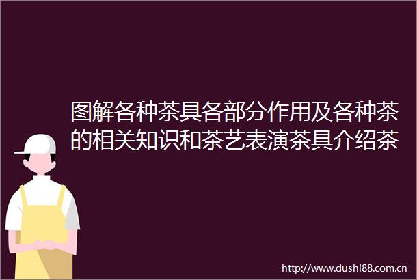 图解各种茶具各部分作用及各种茶的相关知识和茶艺表演茶具介绍茶礼仪