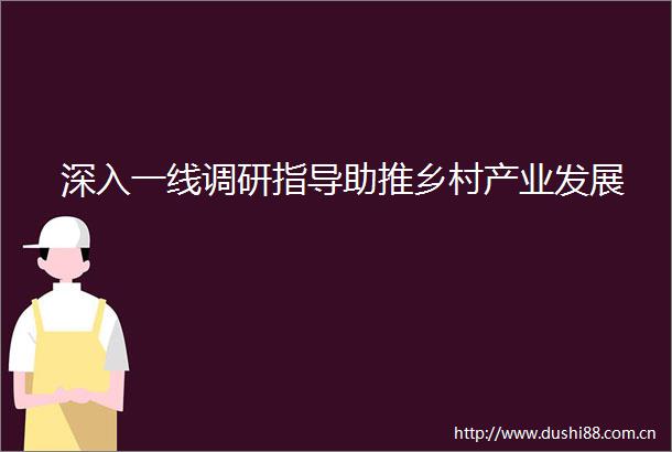 深入一线调研指导助推乡村产业发展