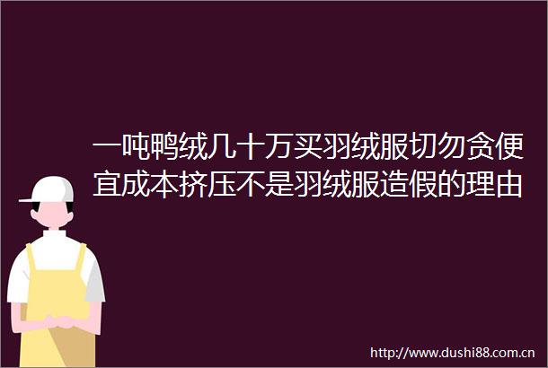 一吨鸭绒几十万买羽绒服切勿贪便宜成本挤压不是羽绒服的理由网评拒绝假羽绒