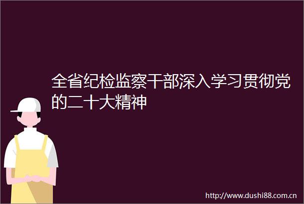 全省纪检监察深入学习贯彻党的二十大精神