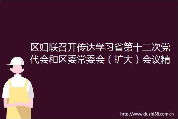 区妇联召开传达学习省第十二次党代会和区委常委会（扩大）会议精神专题会