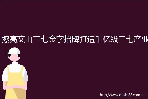 擦亮文山三七金字招牌打造千亿级三七产业