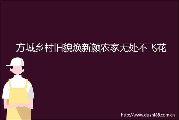方城乡村旧貌焕新颜农家无处不飞花