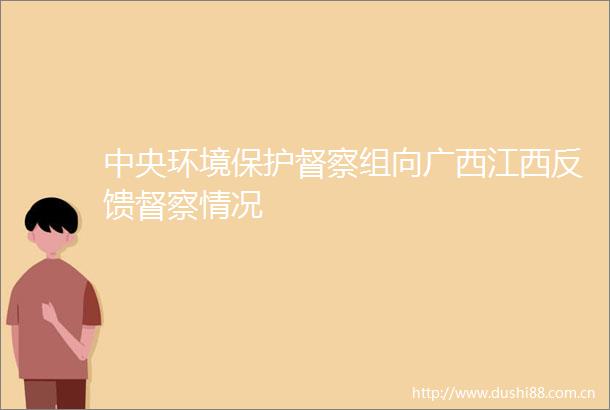 中央环境保护督察组向广西江西反馈督察情况