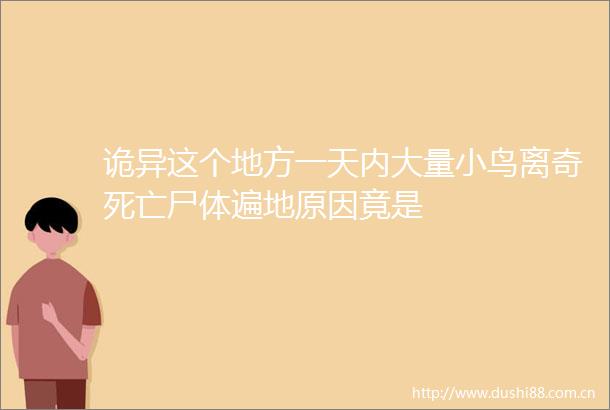 诡异这个地方一天内大量小鸟离奇死亡尸体遍地原因竟是