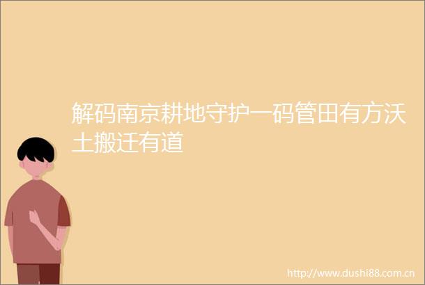解码南京耕地守护一码管田有方沃土搬迁有道