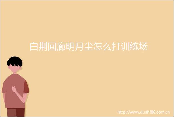 白荆回廊明月尘怎么打训练场