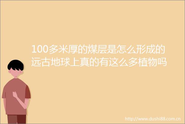 100多米厚的煤层是怎么形成的远古地球上真的有这么多植物吗