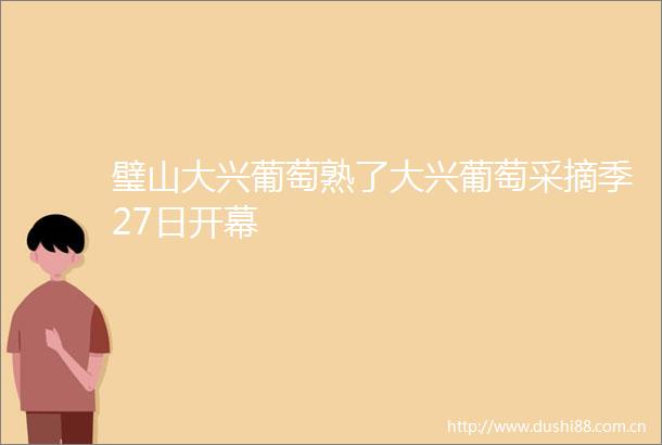 璧山大兴葡萄熟了大兴葡萄采摘季27日开幕