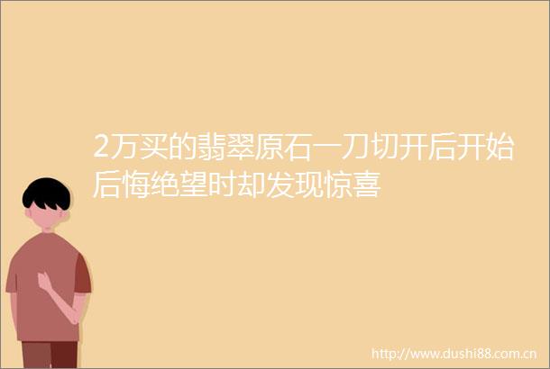 2万买的翡翠原石一刀切开后开始后悔绝望时却发现惊喜