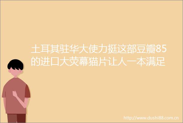 土耳其驻华大使力挺这部豆瓣85的进口大荧幕猫片让人一本满足