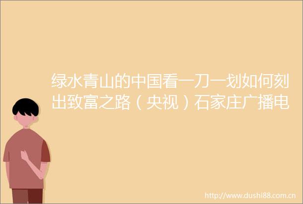 绿水青山的看一刀一划如何刻出致富之路（央视）石家庄广播电视台的微博视频