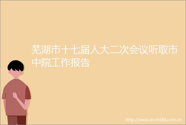 芜湖市十七届人大二次会议听取市中院工作报告