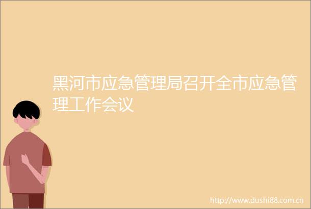 黑河市应急管理局召开全市应急管理工作会议