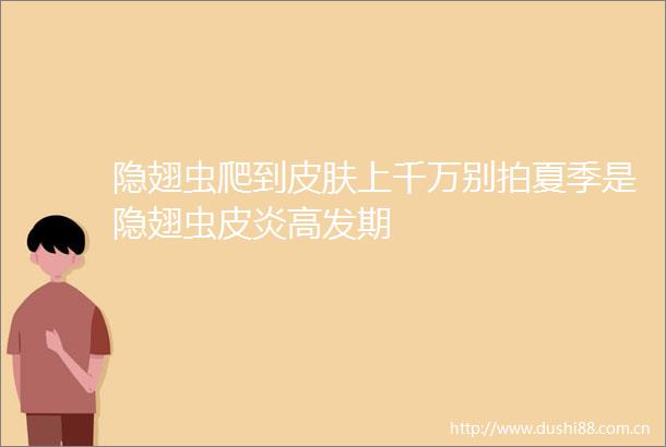 隐翅虫爬到皮肤上千万别拍夏季是隐翅虫皮炎高发期