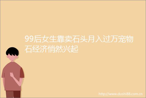 99后女生靠卖石头月入过万宠物石经济悄然兴起