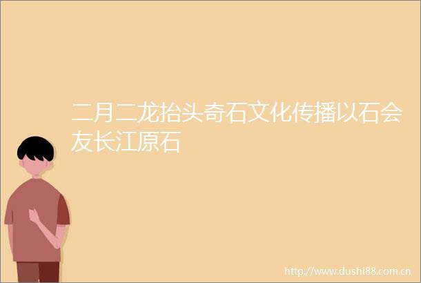 二月二龙抬头奇石文化传播以石会友长江原石