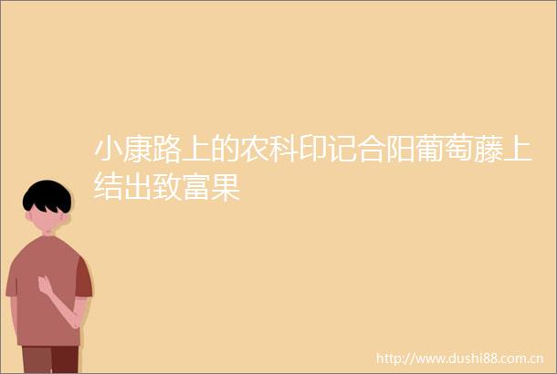 小康路上的农科印记合阳葡萄藤上结出致富果