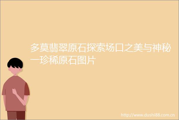 多莫翡翠原石探索场口之美与神秘一珍稀原石图片