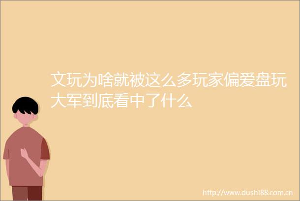 文玩为啥就被这么多玩家偏爱盘玩大军到底看中了什么