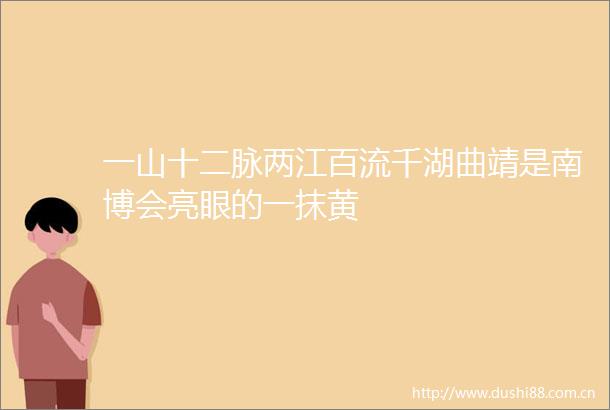 一山十二脉两江百流千湖曲靖是南博会亮眼的一抹黄
