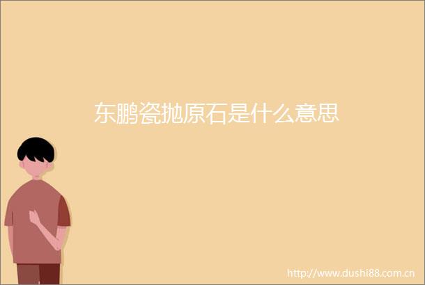 东鹏瓷抛原石是什么意思