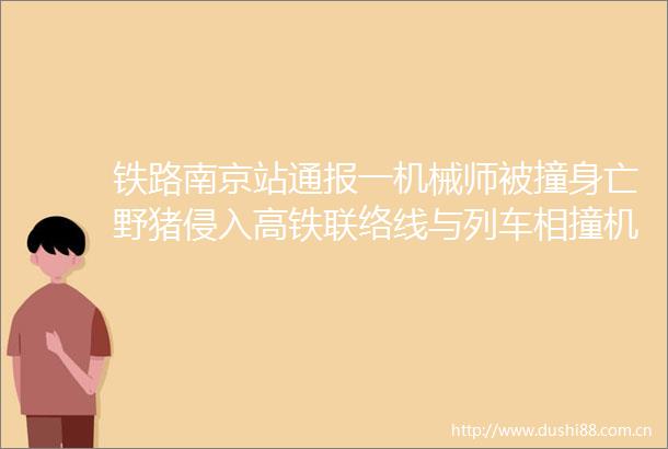 铁路南京站通报一机械师被撞身亡野猪侵入高铁联络线与列车相撞机械师下车处置中被邻线列车碰撞身亡