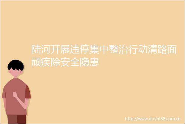 陆河开展违停集中整治行动清路面顽疾除安全隐患