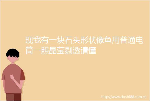 现我有一块石头形状像鱼用普通电筒一照晶莹剔透请懂
