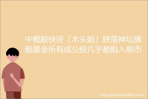 中概股快评「木头姐」跌落神坛旗舰基金所有成分股几乎都陷入熊市