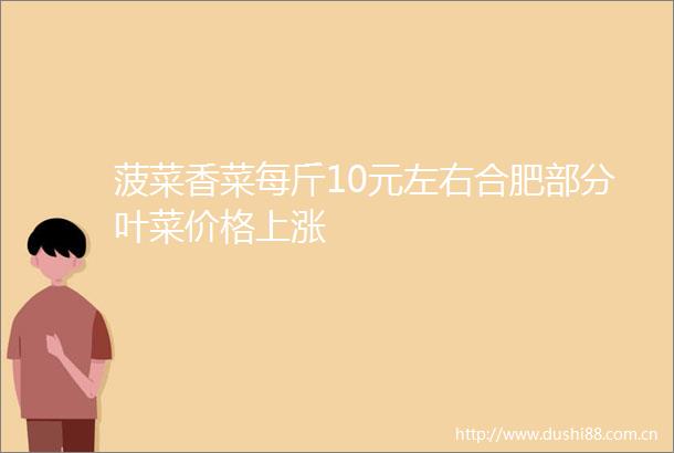 菠菜香菜每斤10元左右合肥部分叶菜价格上涨