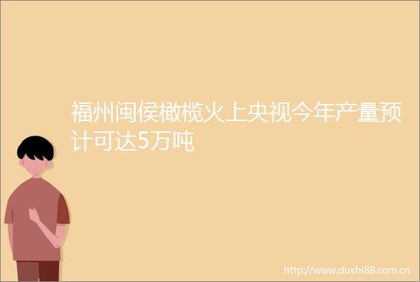 福州闽侯橄榄火上央视今年产量预计可达5万吨