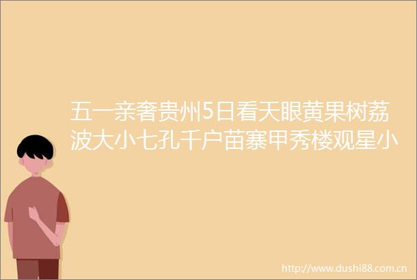 五一亲奢贵州5日看天眼黄果树荔波大小七孔千户苗寨甲秀楼观星小课堂DIY蜡染苗药丹沁温泉全程升级优质五钻酒店