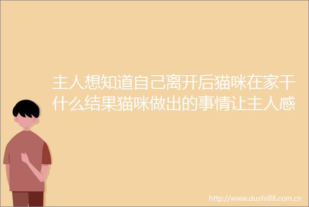 主人想知道自己离开后猫咪在家干什么结果猫咪做出的事情让主人感到不可思议