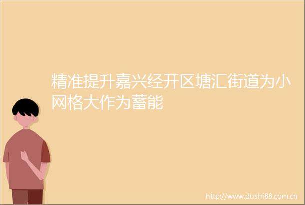 精准提升嘉兴经开区塘汇街道为小网格大作为蓄能